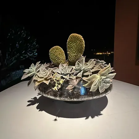 Infinity Geria Willa *