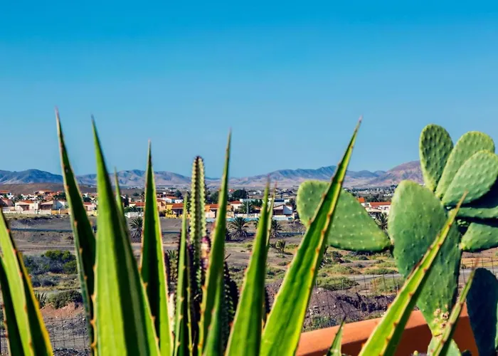 Infinity Geria Vila *