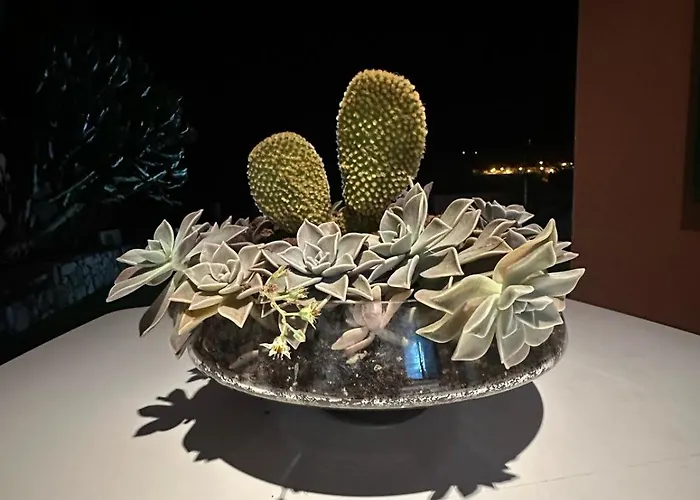 Infinity Geria ヴィラ *